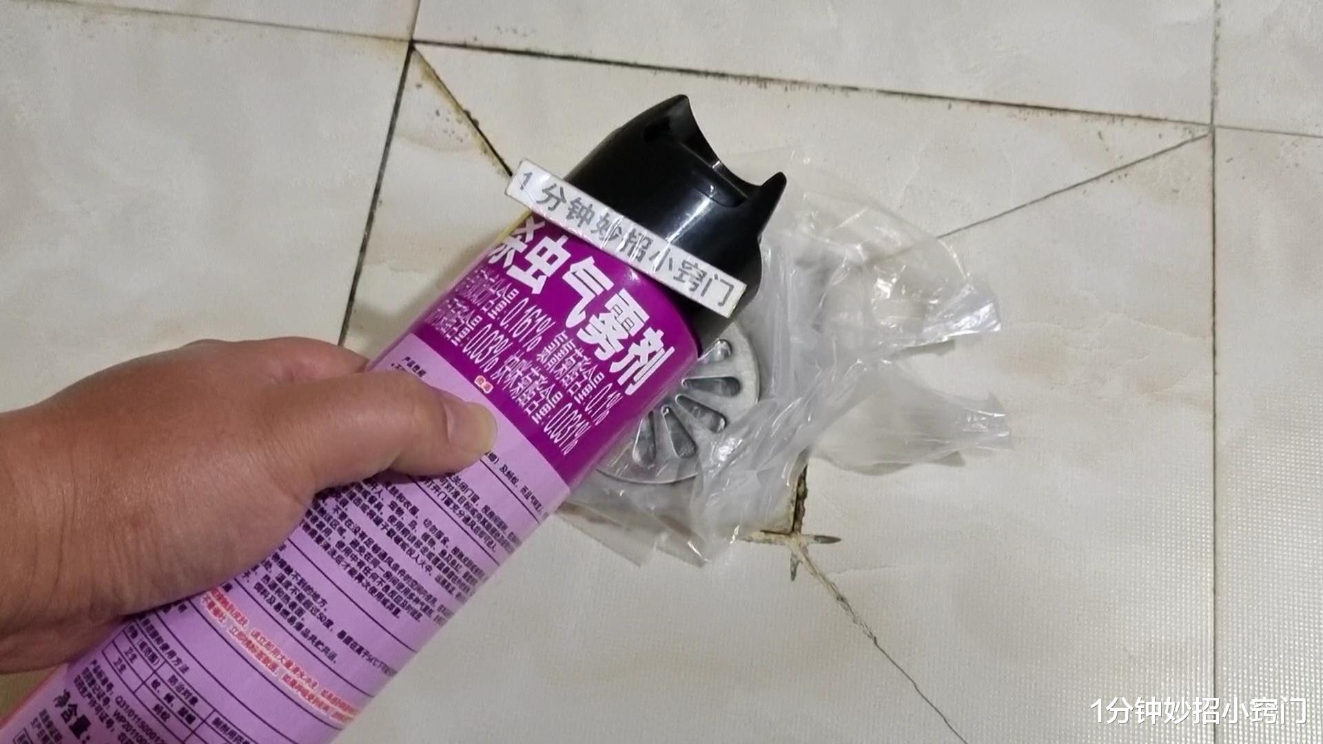 卫生间小黑虫又出来了,只需简单一招,家里再也不会有小飞虫