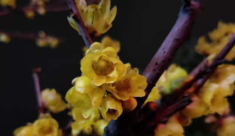 |强者的十大潜质是什么?