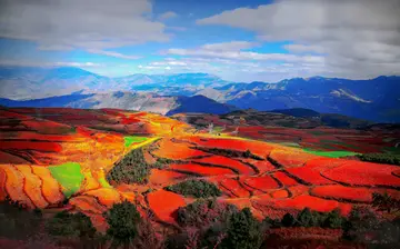 格桑花|昆明，一个四季如春，悠然自得的理想之地