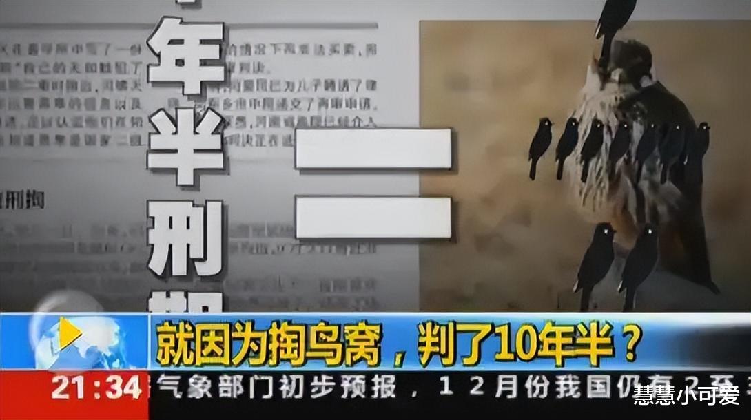 2014年大学生因掏鸟窝被判10年半,两年后其父自首:我有行贿行为