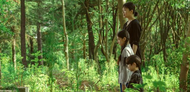 秦岚|相逢时节：最贪心的女人曝光，卖弄聪明，结局最惨