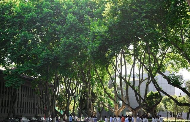 云南|建校时间咋成了“说不清楚”？莫将校庆混同于系庆、科庆、室庆！