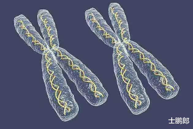 人究竟可以活多久?科学家:其实在出生之时一切就注定了