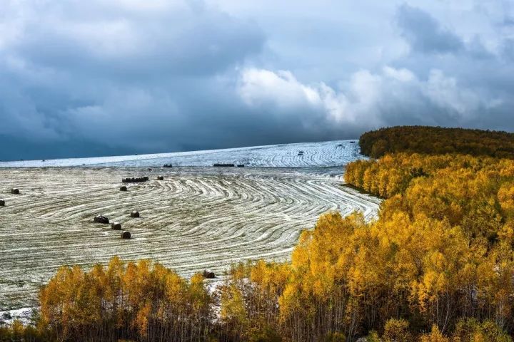 阿尔山|中蒙边界一个没有存在感的小镇,靠一波秋色刷爆连喀纳斯都羡慕!