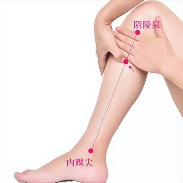 肠胃|经络穴位,一日一学——地机,健脾常用,还可改善胰岛素分泌