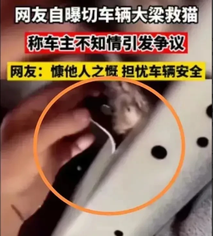 近日,一男子为了救一只钻进车底的流浪猫
