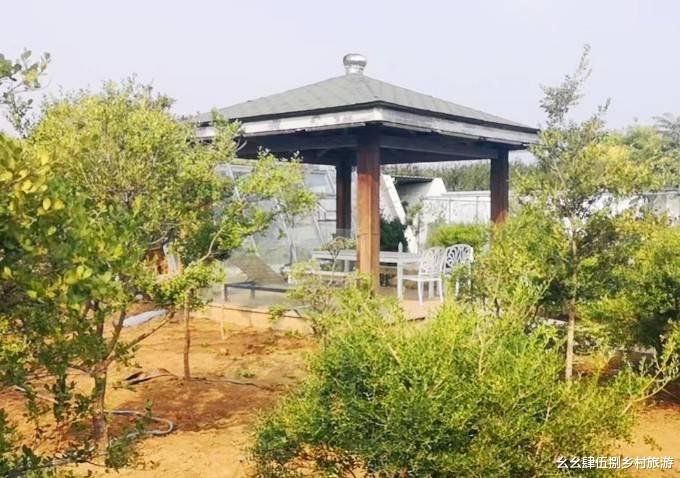 植物园|天津蓟县北方植物园石院山居民宿，徽派深宅大院，藏有2套别墅！