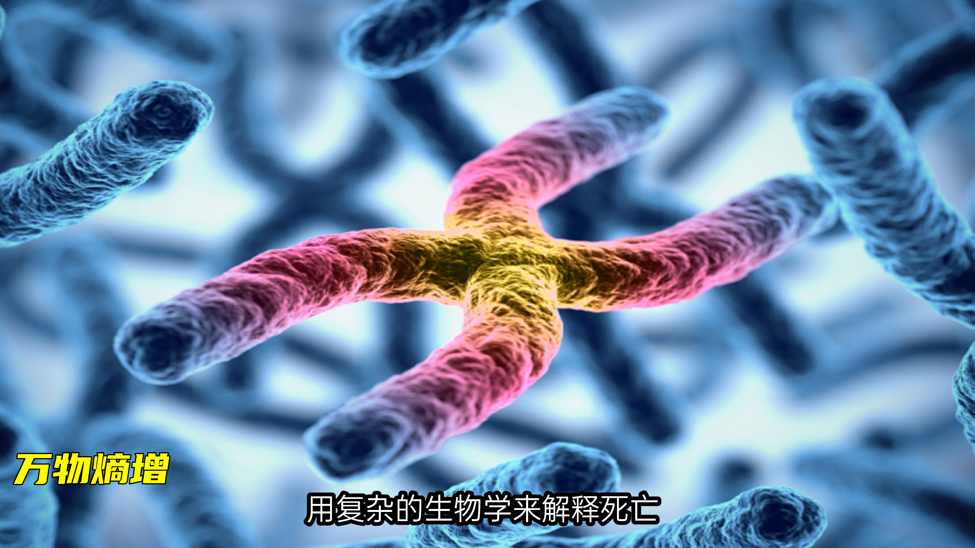 用熵增定律来解释死亡规律，我们人类有可能逃脱死亡的命运吗？