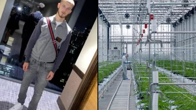 打死闯入大麻厂的23岁男子,帮派成员被判入狱