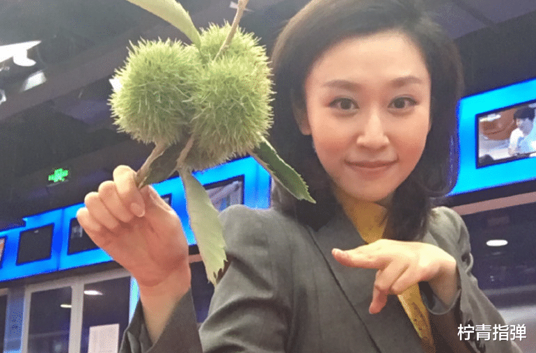 主持人|她是央视90后主持人,颜值气质神似刘亦菲,今29岁美得不像话