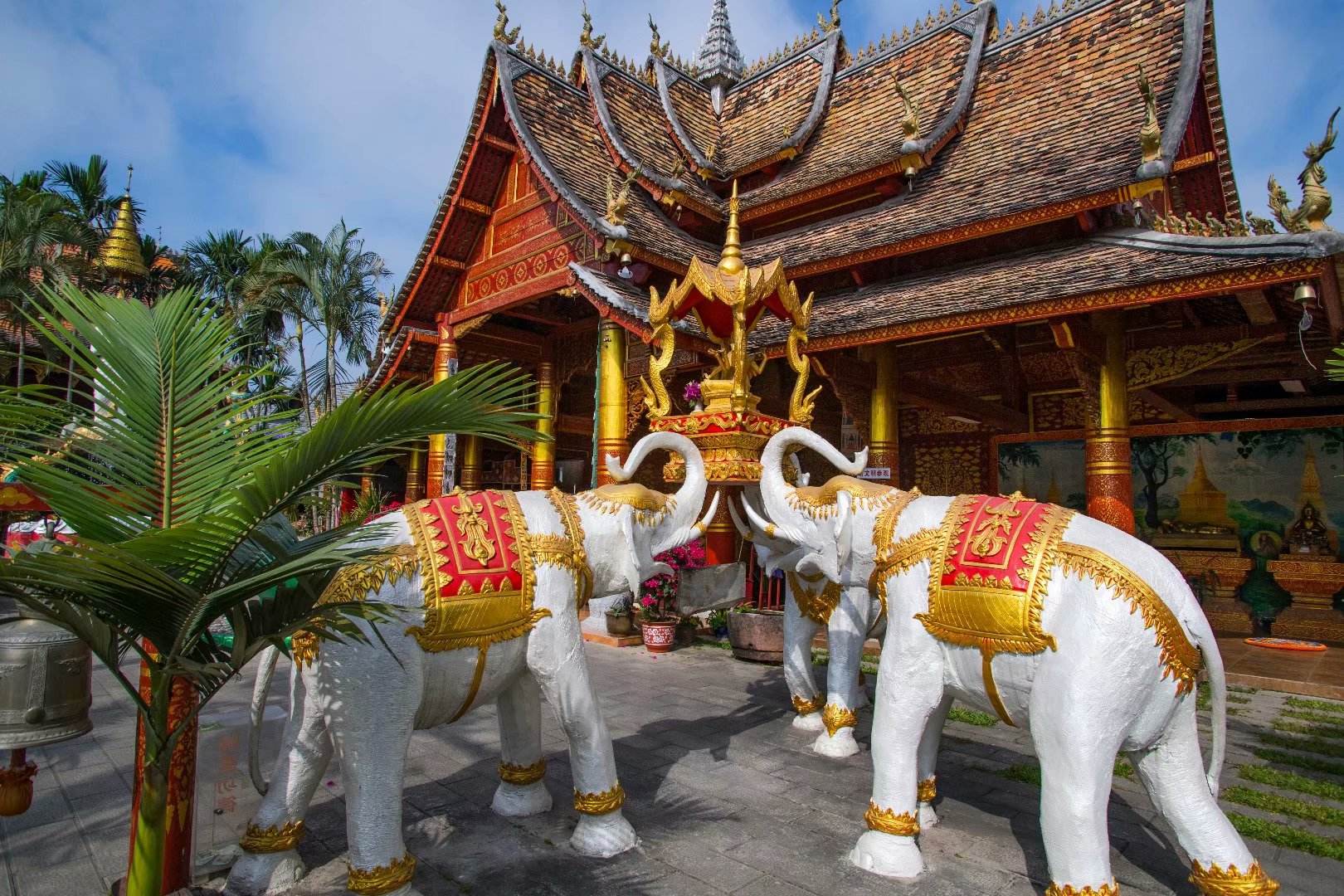 西双版纳|解封了去哪玩?推荐之一西双版纳,天然的氧吧让你不虚此行