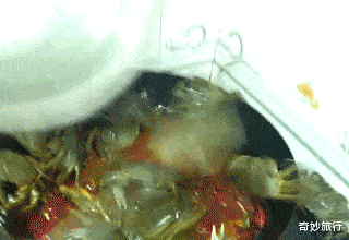 黄心颖|黄心颖承认与男友已同居！自曝与TVB正式完约