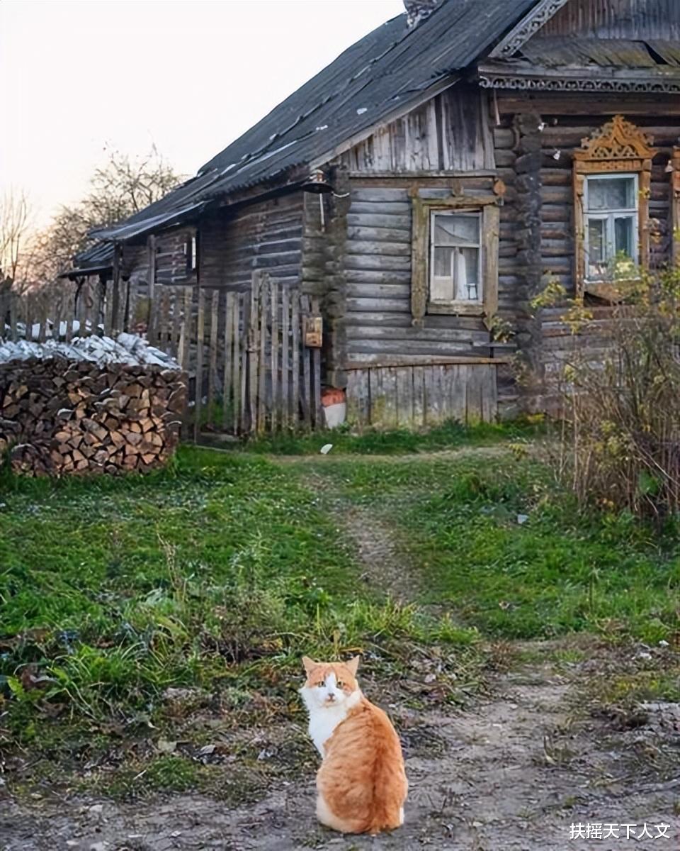 丽江|田园牧歌的生活,50张风景照片带你一起走进俄罗斯村庄的夏天