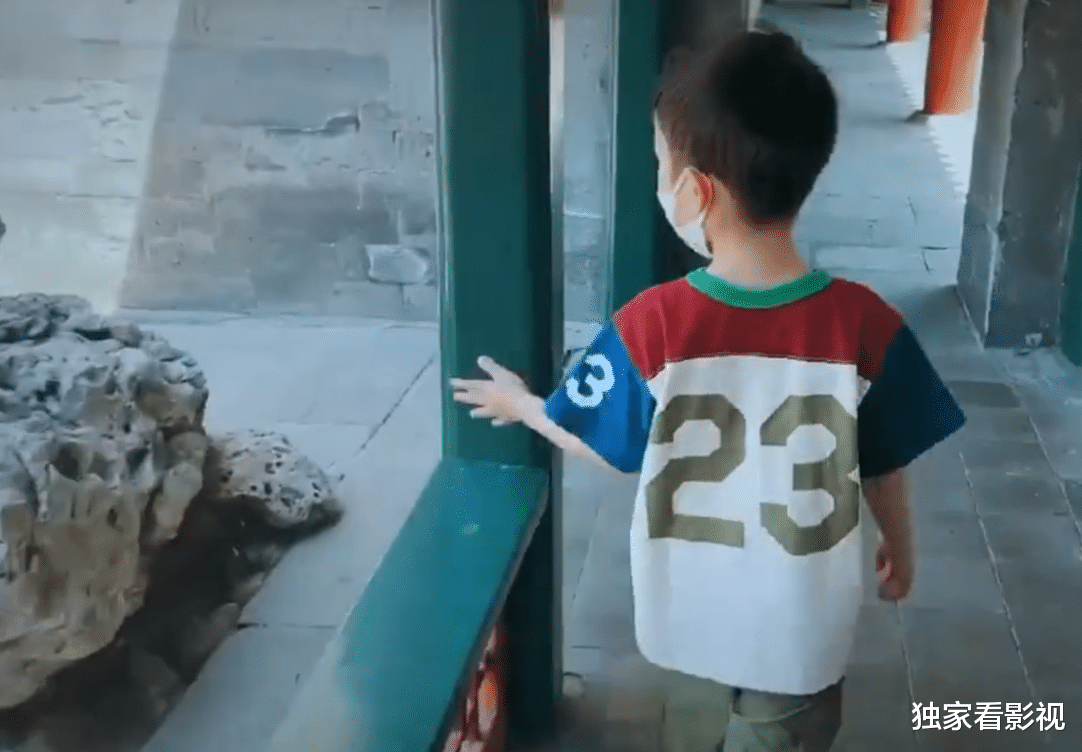 黄磊|黄磊三胎儿子露正脸，单眼皮、性格安静神似二姐，一家五口高颜值