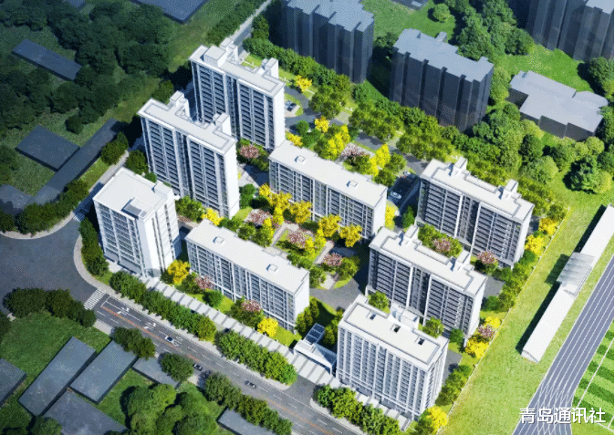 |闲聊青岛房企:爱情地产有点怪!