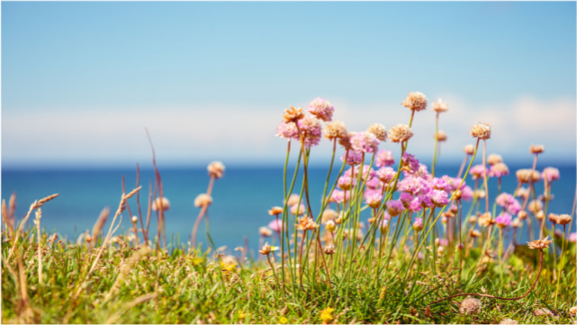 2022年7月到年底,财神下凡,财运转红的三大生肖