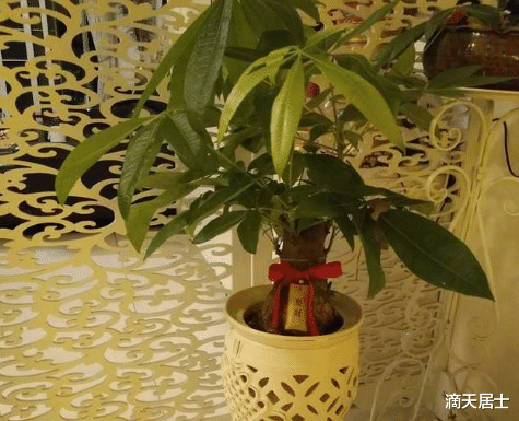 大门口最适合摆哪些物品