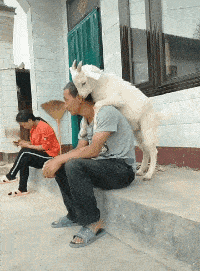 池昌旭|当全网都在喊话周杰伦转发的时候 他发了个图此时无声胜有声