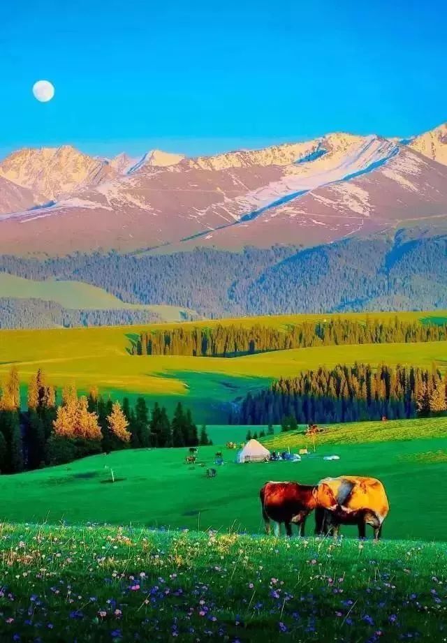 羚羊峡谷|不求走遍世界，只求有生之年，能遇见这20个地方