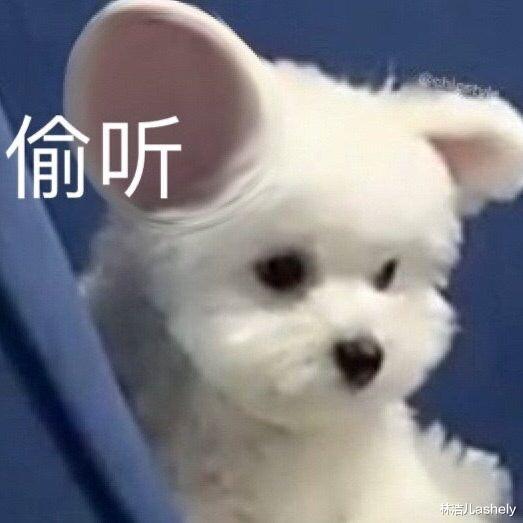 赵露思 鲨鱼夹怎么夹还得看女明星，赵露思氛围感满满，宋妍霏打造出高颅顶