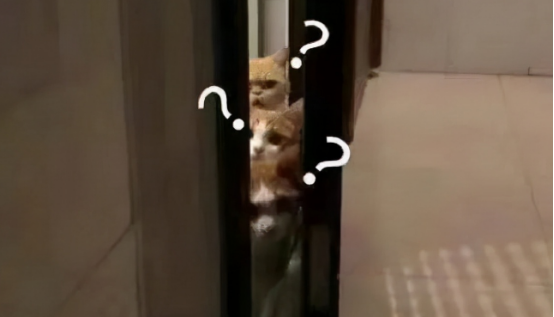 你家卫生纸是朝内放还是朝外放?放错会有什么影响吗?