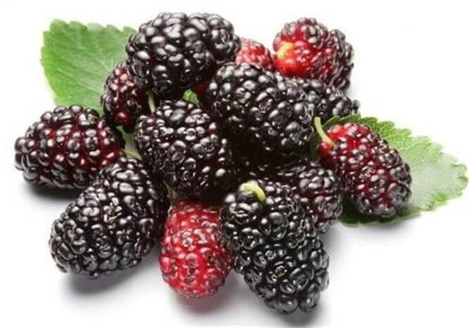 营养膳食 推荐多吃三种食物，减肥瘦身，清理肠道