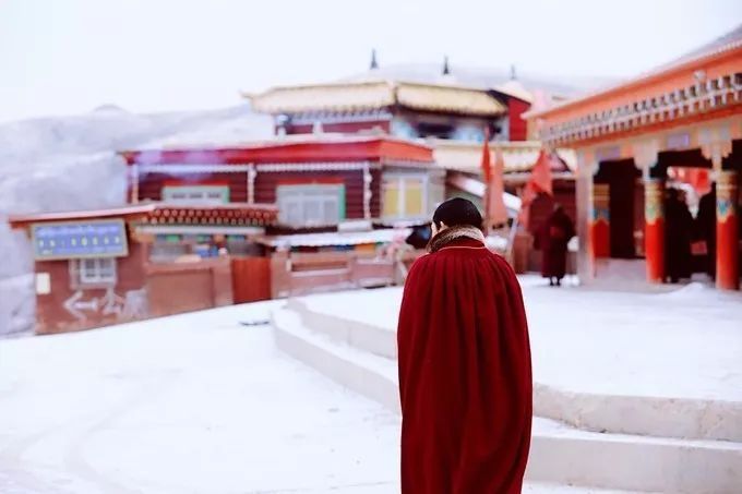 温榆河|这才是冬天最值得去的旅行地,错过等一年