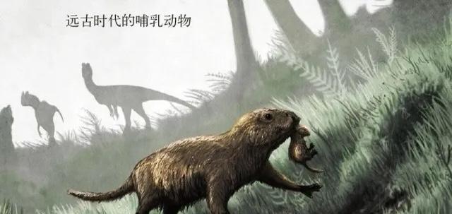 诺奖新得主:揭示人类演化之谜!“猴”和“鱼”谁才是起点?