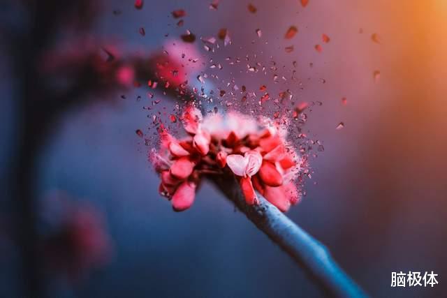 上海市|残酷春天里的中国科技（一）：当疫情直抵咽喉