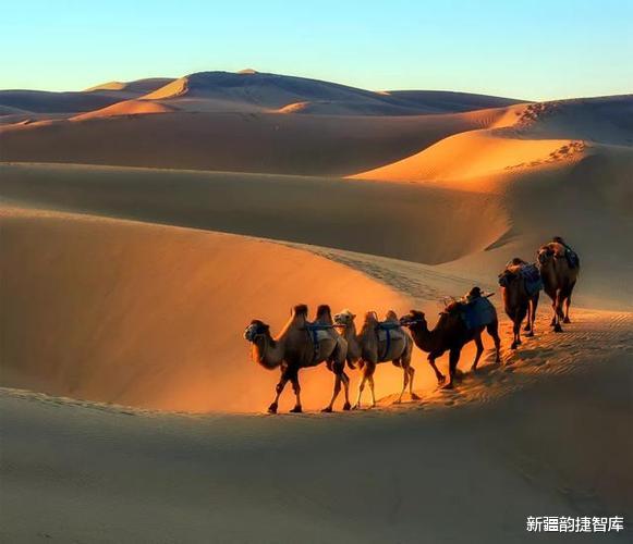 新疆维吾尔自治区|新疆三大美，湖泊、草原、沙漠，各有各的味！