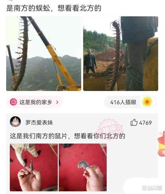 赵雅芝|神回复:乔杉如果在洗脚城被抓,会退出演艺圈吗?神评笑死人