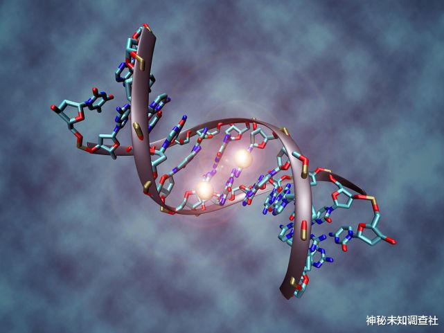 进化论?泛生论?伟大的结构组织设计假说?人类到底是怎么来的?