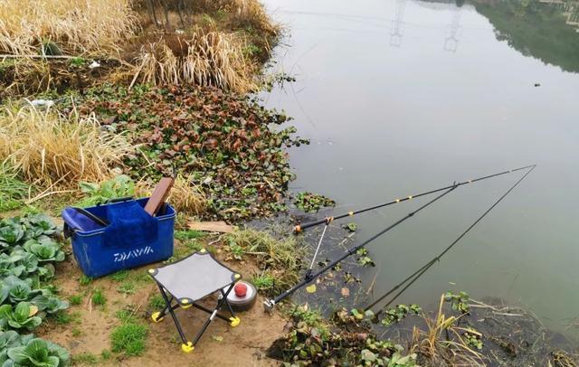 |钓鱼人:这4种行为不可有,容易遭人白眼