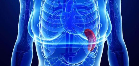 燕麦|五脏六腑最怕什么?你一定要知道!