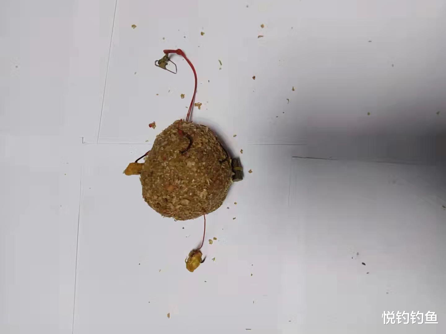 鲤鱼|如何有针对性地配制鲤鱼、草鱼钓饵?