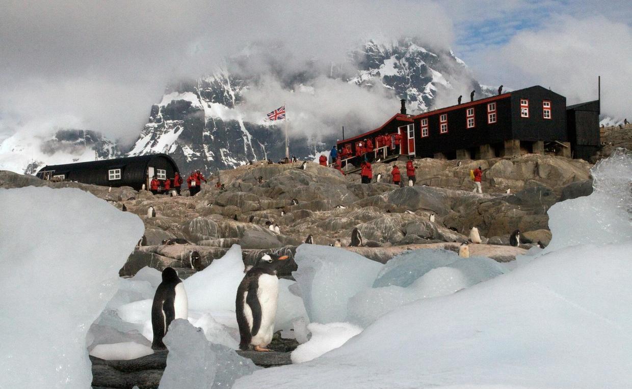 招聘|南极洲招人“数企鹅”，没wifi还得给企鹅铲屎，却有6000人抢着去！