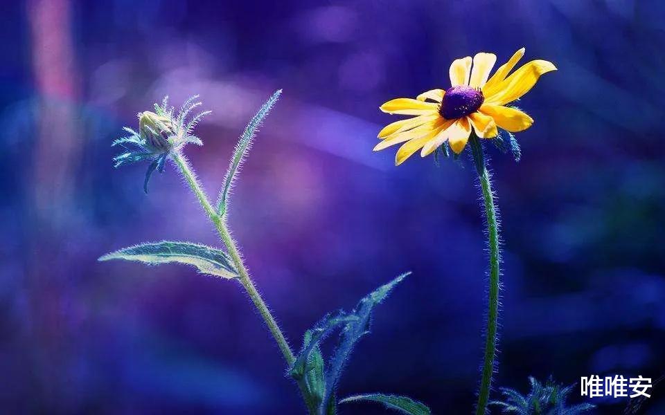 求职|我27岁，娃1岁，父母失业：帮父母找工作发现，太多中年人在求职的路上