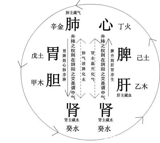 体检|头昏身重、精力不济?一剂益气聪明汤,让你耳聪目明、大脑强健