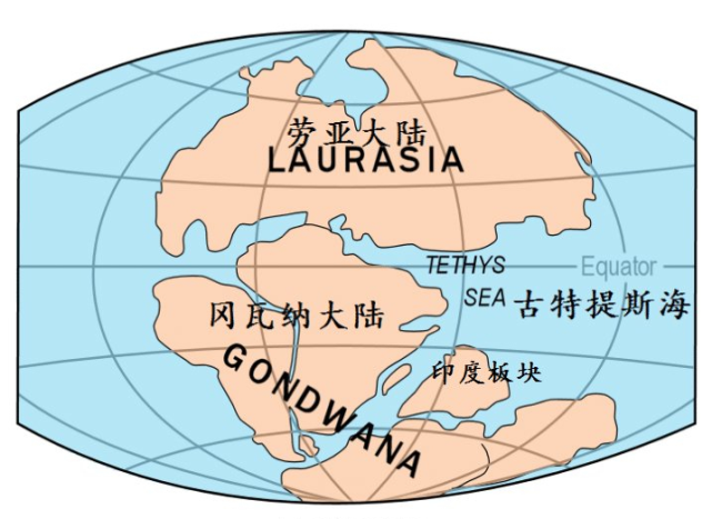 新西兰附近海域发现一个古老大陆,这是否就是“第八大陆”遗迹?