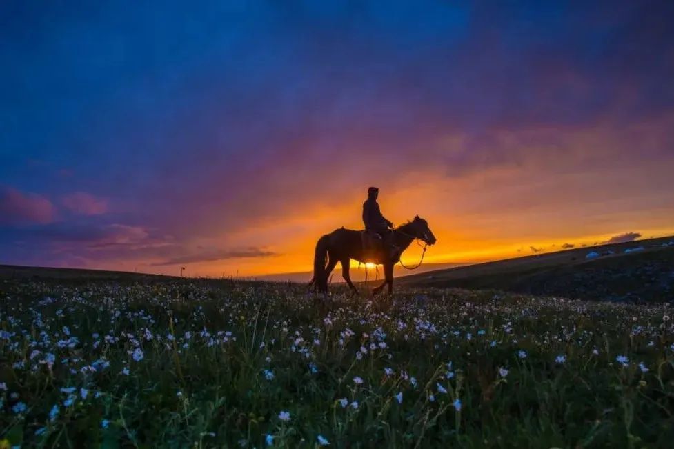 香港|草原季即将开启,如何选择最适合你的草原?