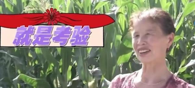 回顾:80岁老教师找60岁大妈伺候他,却一毛不拔,大妈:女人不傻
