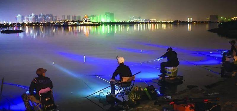 夜钓|一抓五优势,二会三技巧,夜钓不愁大鱼不上钩