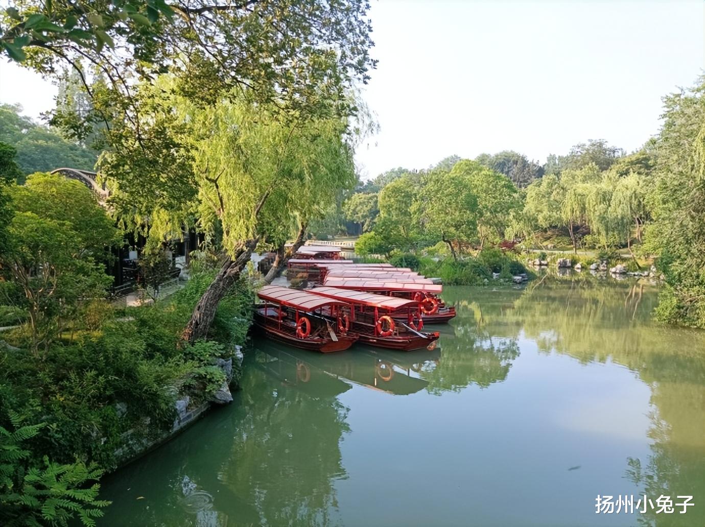 云南|从不辜负，总有花儿在等，约不约？