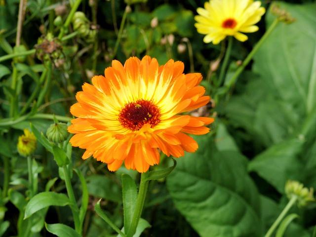 眼妆 很注重外在形象的星座女，有品位、识大体，拥有独特魅力