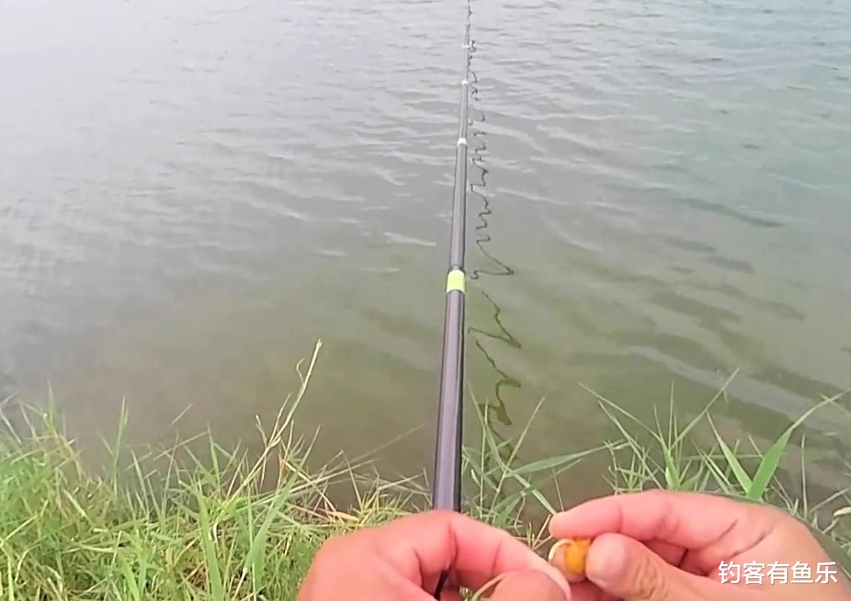 饵料|钓鱼时饵料如何搭配？饵料的味型怎样选择才合理？