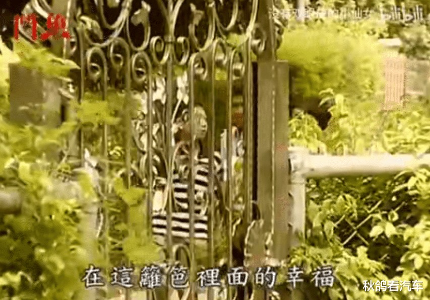 小燕子|乖乖女爱上渣男，一场女性的自毁