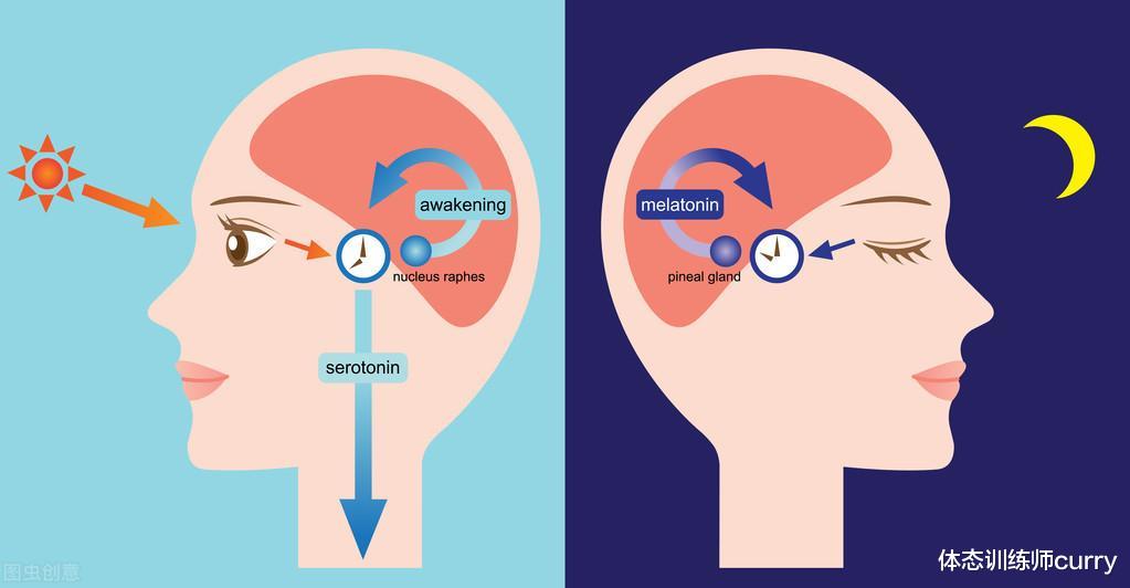 蛋白质|好睡眠打造好身材,同时身体更健康!5点注意事项,提升睡眠质量