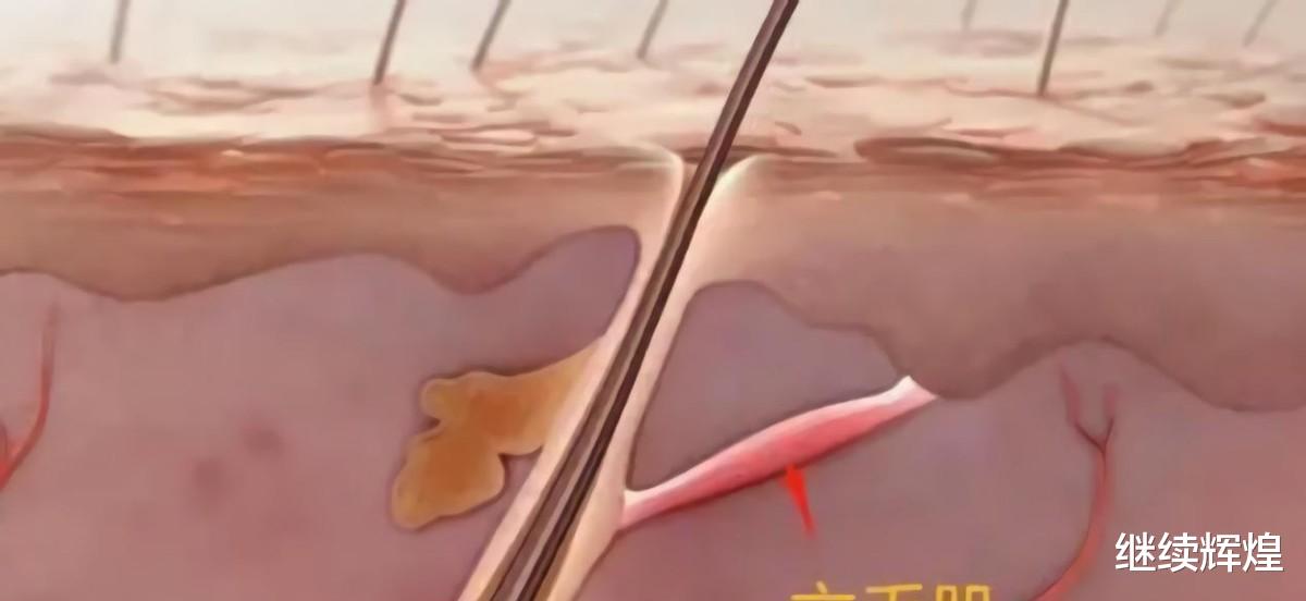 人体是最精密的机器?先别盲目自信!人体至少有五个进化的漏洞