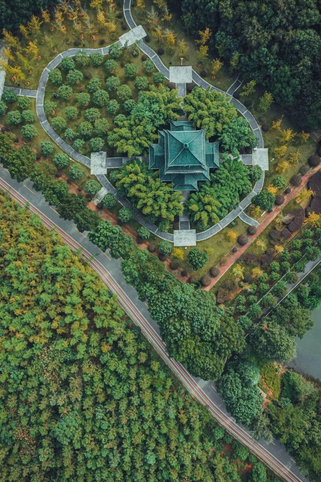 身份证|初冬，这里超萌！