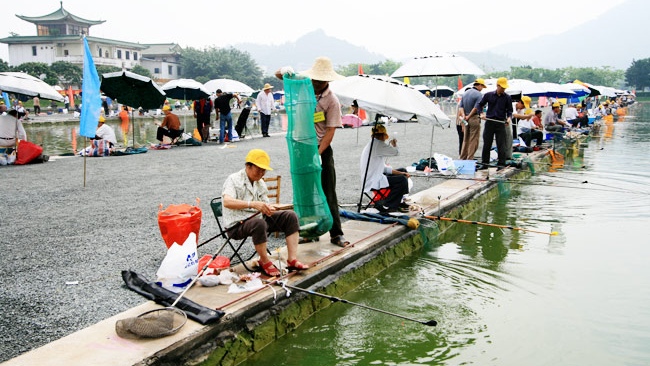 |新手问:钓鱼很好玩吗?钓友道“参悟人生”
